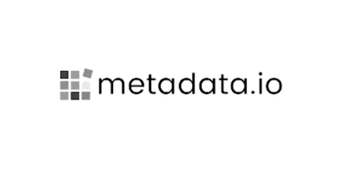 Metadata logo